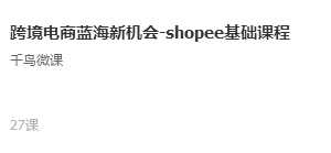 千鸟微课2020跨境电商蓝海新机会-SHOPEE基础课程（27节课）
