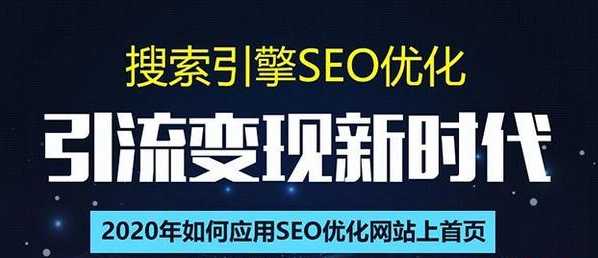 SEO搜索引擎优化总监实战VIP课堂【透析2020最新案例】