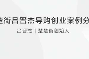 楚楚街吕晋杰导购创业案例分享