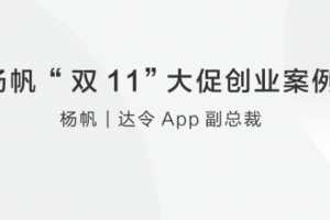 达令杨帆 “双11”大促创业案例分享