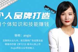 知识变现时代的个体崛起术,个人品牌打造,用个体知识和技能赚钱