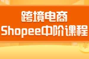 2020千鸟跨境电商SHOPEE中阶课程：爆款的快速打造全流程（27节课）
