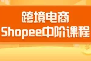 2020千鸟跨境电商SHOPEE中阶课程：爆款的快速打造全流程（27节课）