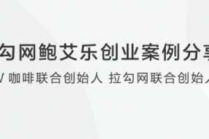 拉勾网鲍艾乐创业案例分享