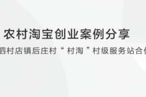 农村淘宝创业案例分享