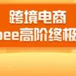 2020跨境电商蓝海新机会-SHOPEE大卖特训营：高阶终极课程（16节课）