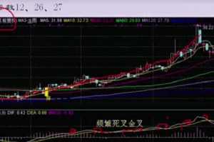 冯国磊空军实战 全赢MACD 视频2集+指标公式