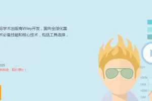 网易微专业wiley大数据工程师