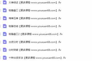 与庄共舞 分时跟庄大师 股票高级培训班视频课程12集