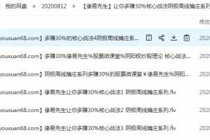 缘易先生让你多赚30%核心战法阴极周线擒庄系列 6视频