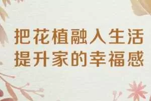 12节家居花植课，把花植融入生活，小成本住出好心情