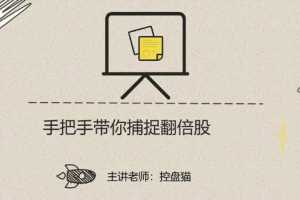 控盘猫《手把手带你捕捉翻倍股》