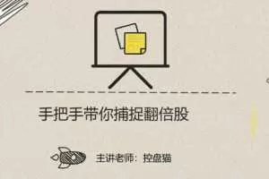 控盘猫《手把手带你捕捉翻倍股》