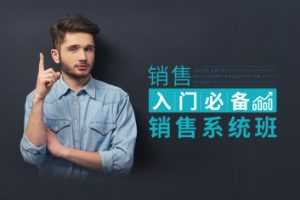 田大超-销售入门必备：销售系统班 17节视频课程