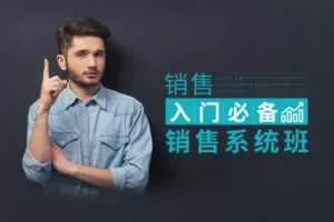 田大超-销售入门必备：销售系统班 17节视频课程