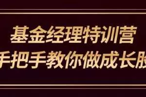 雷恩镇杰哥：基金经理特训营手把手教你学成长股