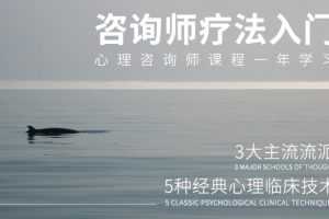 壹心理：心理咨询技术与疗法入门_心理咨询师疗法入门课程