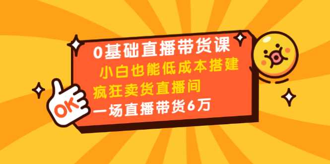 媒老板0基础直播带货课：小白也能低成本搭建疯狂卖货直播间：1场直播带货6万目录