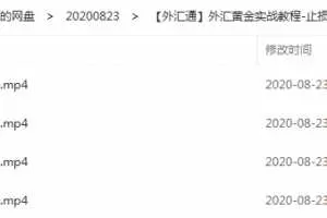 【外汇通】外汇黄金实战教程-止损的功夫 4视频