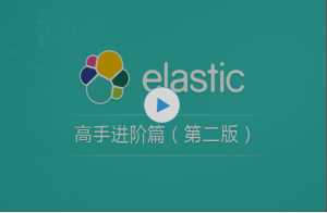 Elasticsearch顶尖高手系列：高手进阶篇（最新第二版）（包含快速入门篇+高手进阶第一版） 视频教程