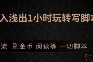 王半圈1小时深入浅出视频实操讲解，教你0基础学会写引流脚本