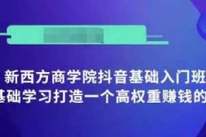 新西方商学院抖音基础入门班：小白0基础学习打造一个高权重赚钱的抖音号