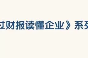 微淼-财务报表分析技能课视频 101文件