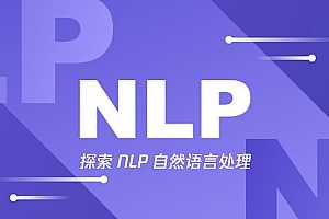 NLP自然语言处理项目实战之动手学词向量（word embedding）视频教程