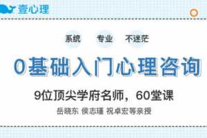 零基础入门心理咨询师 60堂启蒙课领你进入心理咨询的大门