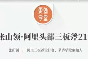 张山领 阿里头部三板斧21讲【完结】