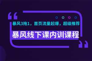 暴风线下课内训课程(暴风3拖1，首页流量起爆，超级推荐)视频+录音+文档