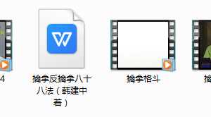 军警实用擒拿与反擒拿_擒拿格斗教学视频