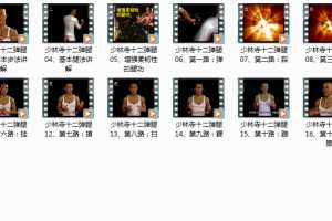 释行宇少林寺十二弹腿教学全集_慢动作教学视频