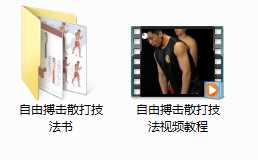自由搏击散打技法视频教程(中文版)全集视频