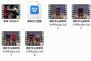 最新专业泰拳格斗术视频教学_泰拳攻防技术