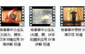 叶准咏春拳整套教学_正宗咏春拳格斗教学