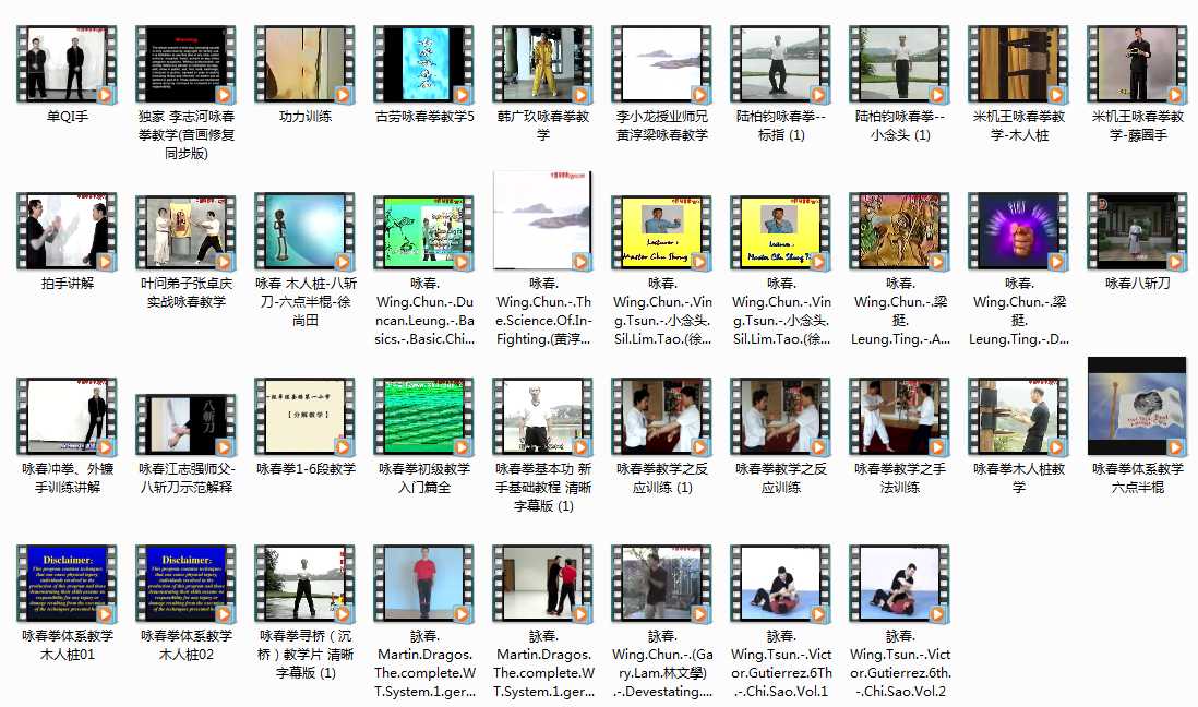 咏春拳基本功新手基础教程_初级教学入门篇全