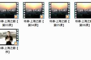 咏春拳上海之巅_咏春拳实战运用
