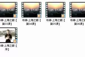 咏春拳上海之巅_咏春拳实战运用