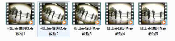 佛山麦耀明咏春拳视频教程