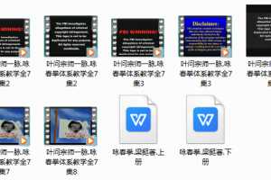 叶问宗师一脉咏春拳体系教学7集视频/2册书