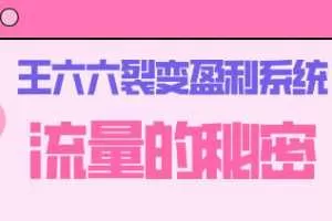 王六六裂变盈利系统课程01流量的秘密（核心诱饵+信任模型+裂变模式）