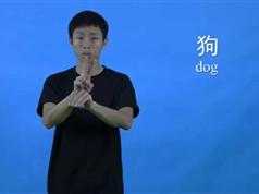 手语基础郑璇主编教材第4套_简单手语教学之常用动词