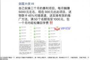剑眉大侠实操三个月得暴利项目，每月躺赚5000元左右（价值300元）