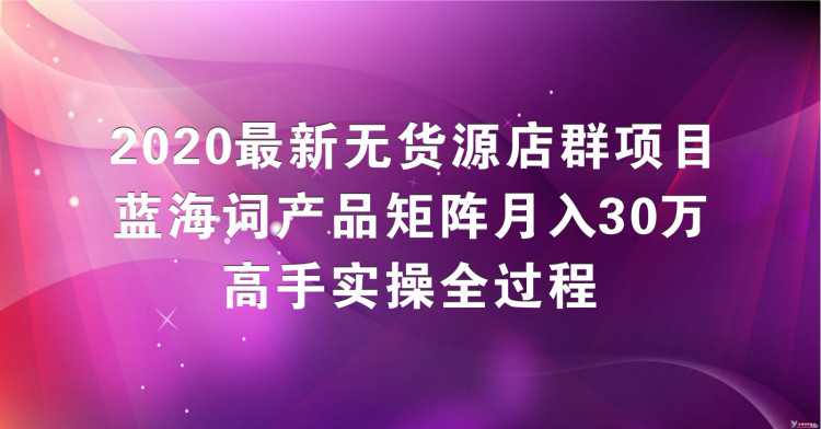 2020最新无货源店群项目，蓝海词产品矩阵月入30万，高手实操全过程（视频教程）