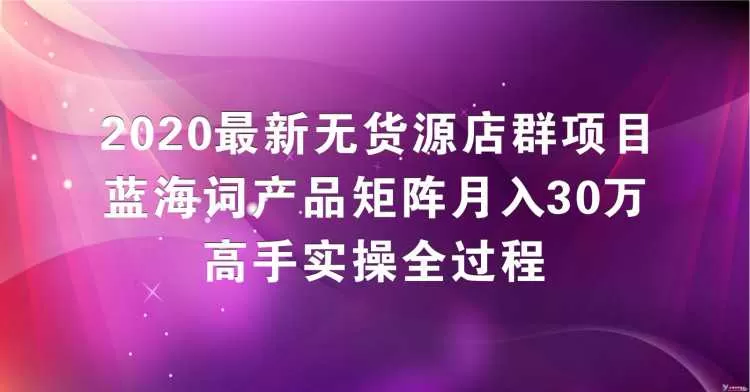 2020最新无货源店群项目,蓝海词产品矩阵月入30万,高手实操全过程(视频教程)