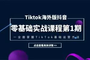 TIKTOK海外版抖音零基础实战课程第1期，全面掌握TIKTOK基础运营方法