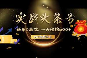 零基础玩转头条号实战训练课，实战一天涨粉600+，做自媒体也能月入过万