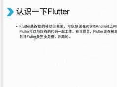 技术胖零基础学Flutter入门视频教程（移动UI框架）