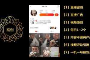 微商百度霸屏玩法和短视频批量引流玩法（课件+录音）